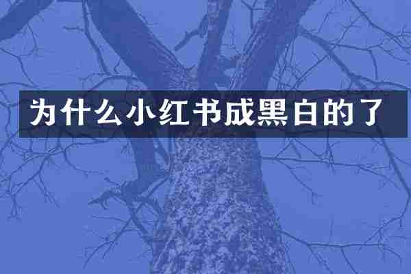 为什么小红书成黑白的了