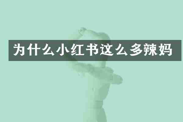 为什么小红书这么多辣妈