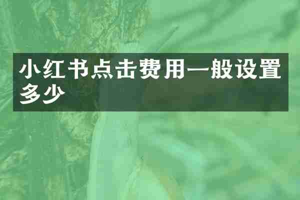 小红书点击费用一般设置多少