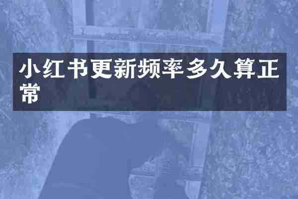 小红书更新频率多久算正常