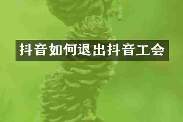 抖音如何退出抖音工会