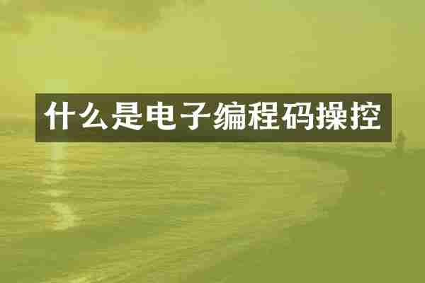 什么是电子编程码操控