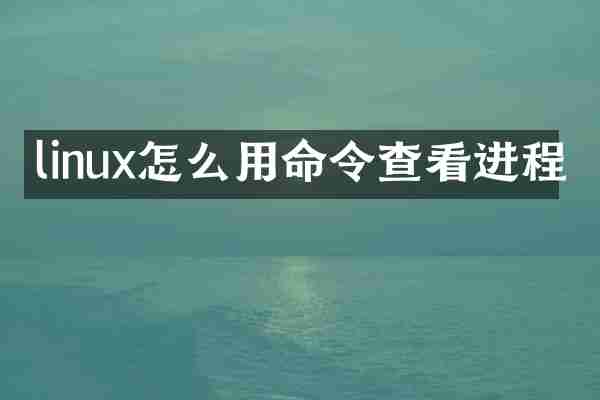 linux怎么用命令查看进程