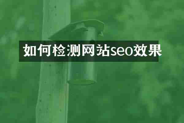 如何检测网站seo效果