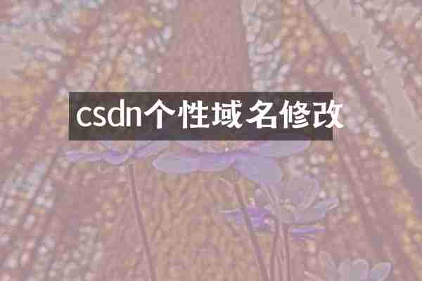 csdn个性域名修改