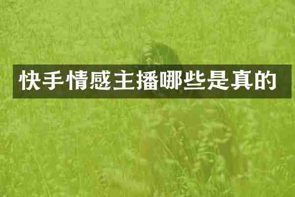 快手情感主播哪些是真的