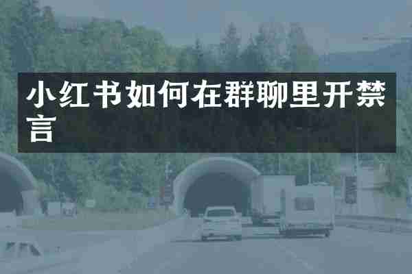 小红书如何在群聊里开禁言
