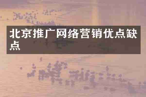北京推广网络营销优点缺点
