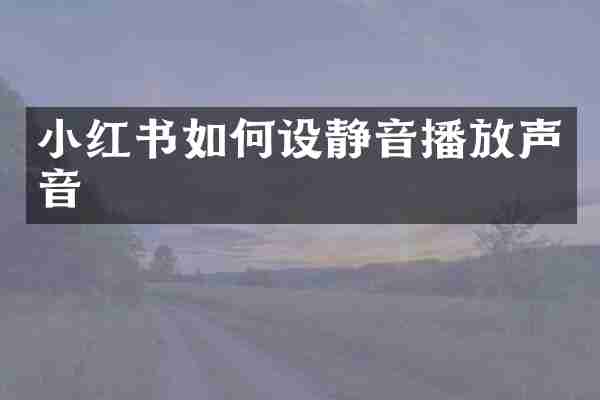 小红书如何设静音播放声音