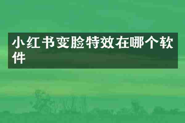 小红书变脸特效在哪个软件