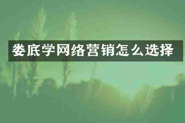 娄底学网络营销怎么选择