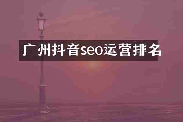 广州抖音seo运营排名