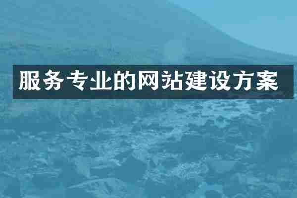 服务专业的网站建设方案