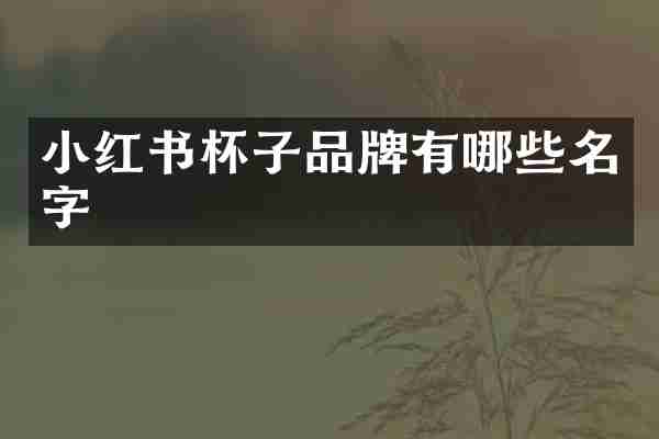 小红书杯子品牌有哪些名字