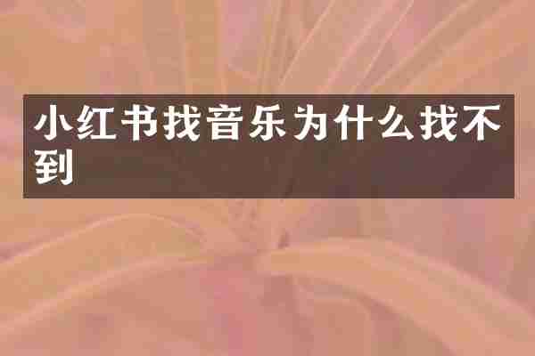 小红书找音乐为什么找不到