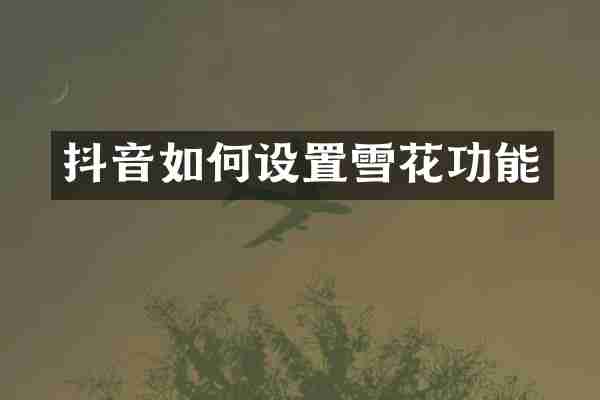 抖音如何设置雪花功能