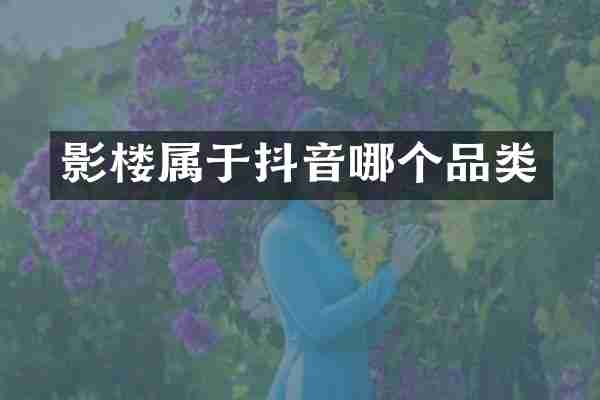 影楼属于抖音哪个品类