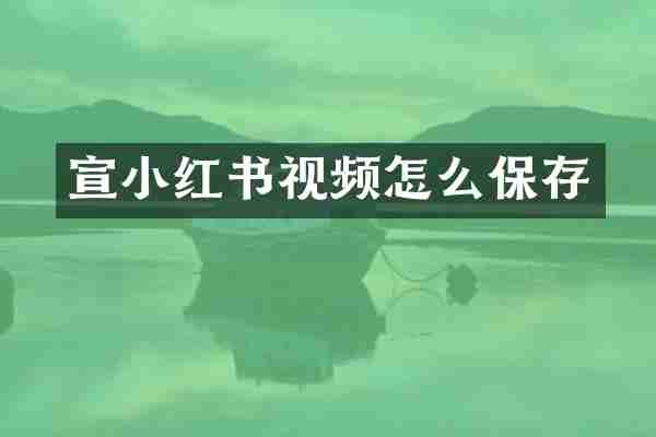 宣小红书视频怎么保存