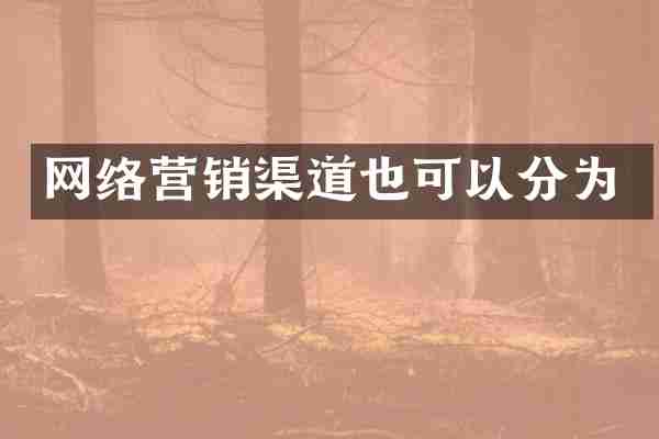 网络营销渠道也可以分为