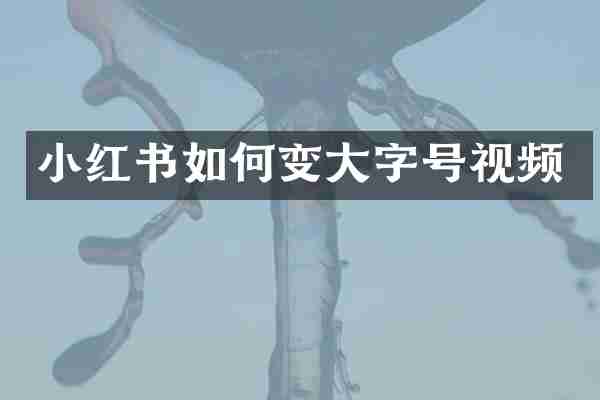 小红书如何变大字号视频
