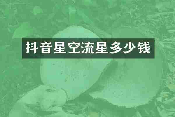 抖音星空流星多少钱