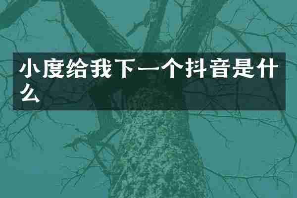 小度给我下一个抖音是什么