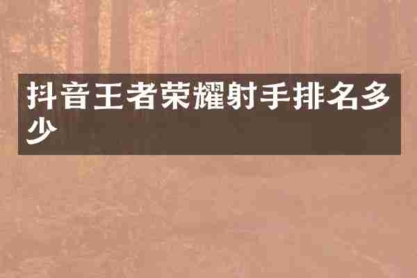 抖音王者荣耀射手排名多少