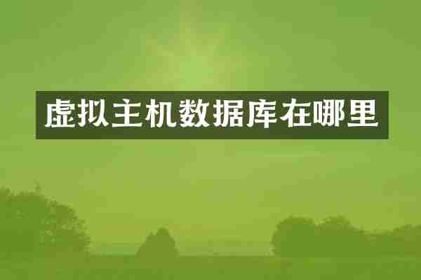 虚拟主机数据库在哪里