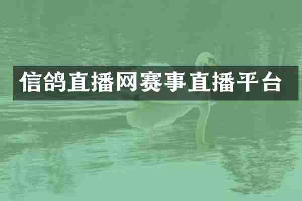 信鸽直播网赛事直播平台