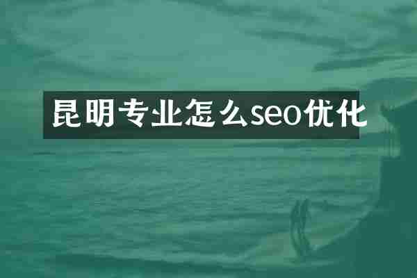 昆明专业怎么seo优化