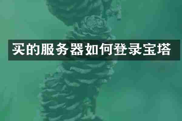 买的服务器如何登录宝塔