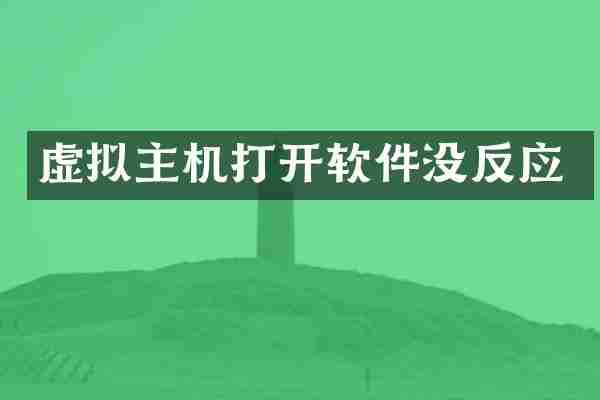 虚拟主机打开软件没反应