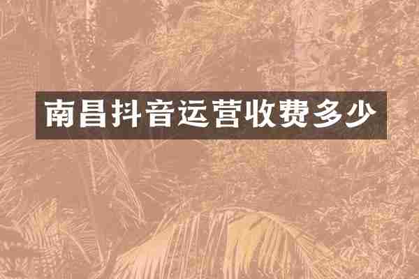 南昌抖音运营收费多少