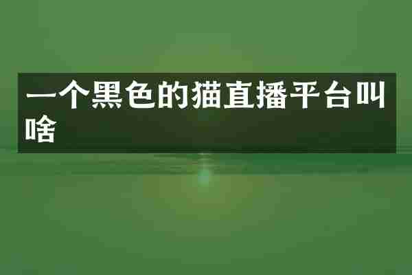 一个黑色的猫直播平台叫啥