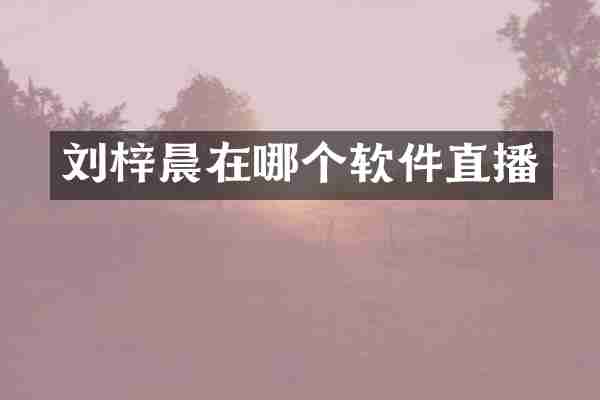 刘梓晨在哪个软件直播