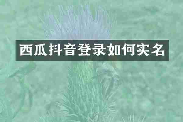 西瓜抖音登录如何实名