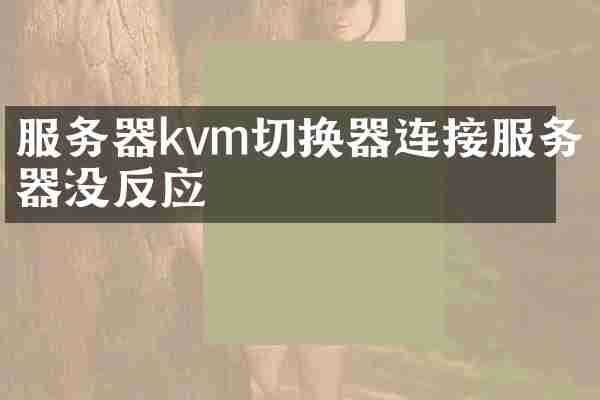 服务器kvm切换器连接服务器没反应