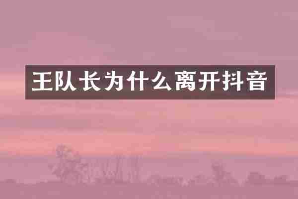 王队长为什么离开抖音