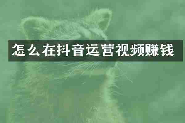 怎么在抖音运营视频赚钱