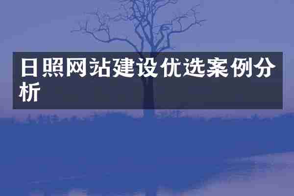 日照网站建设优选案例分析