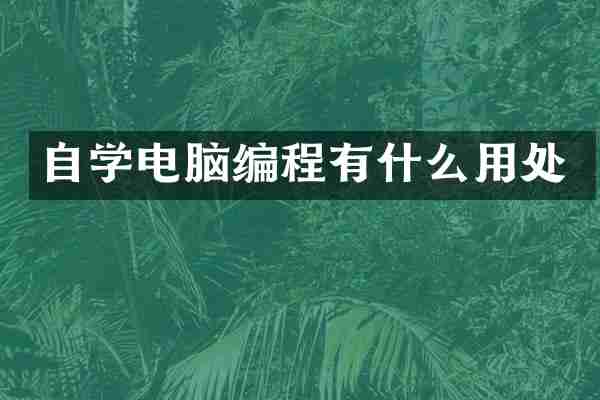 自学电脑编程有什么用处