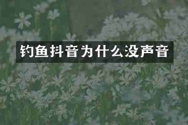 钓鱼抖音为什么没声音