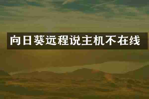 向日葵远程说主机不在线