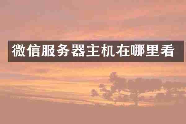 微信服务器主机在哪里看
