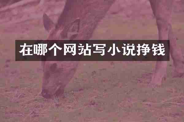 在哪个网站写小说挣钱