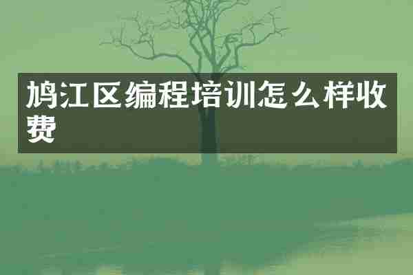 鸠江区编程培训怎么样收费