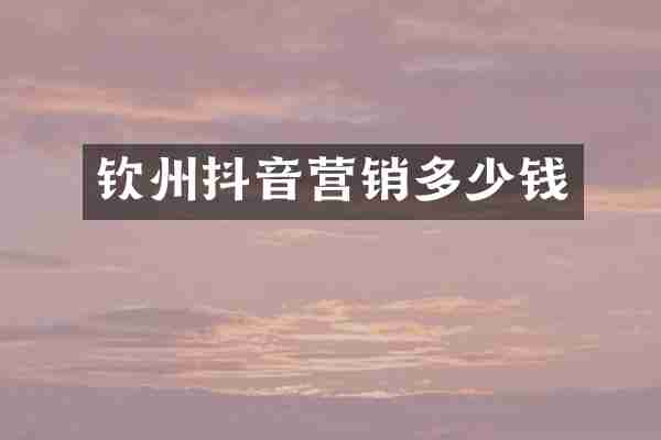 钦州抖音营销多少钱