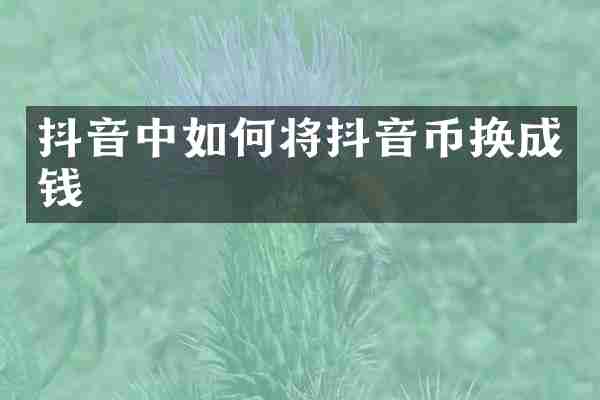 抖音中如何将抖音币换成钱