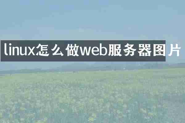 linux怎么做web服务器图片