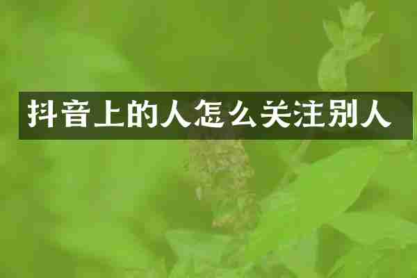 抖音上的人怎么关注别人